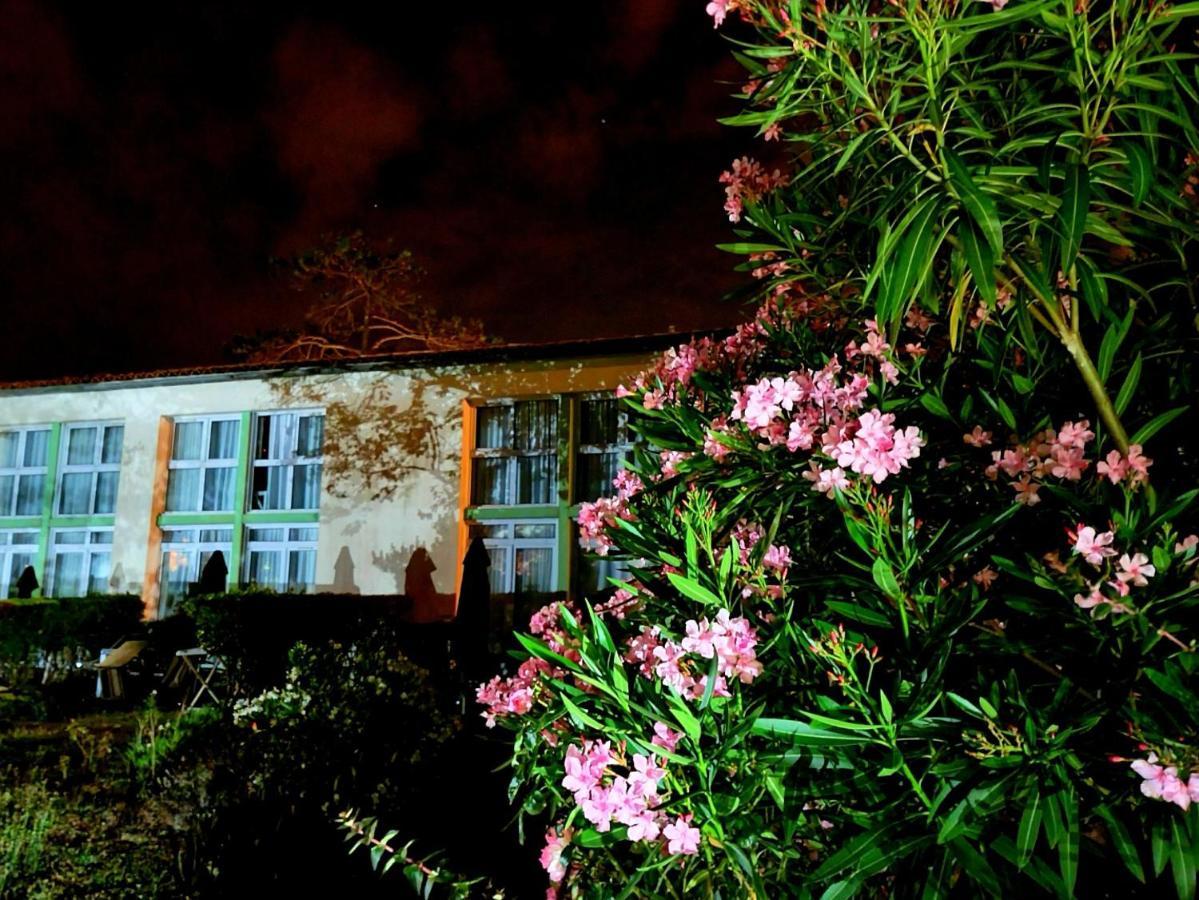 Appartement 91 Palais Des Gouverneurs Saint-Martin-de-Ré Dış mekan fotoğraf