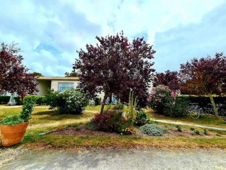Appartement 91 Palais Des Gouverneurs Saint-Martin-de-Ré Dış mekan fotoğraf