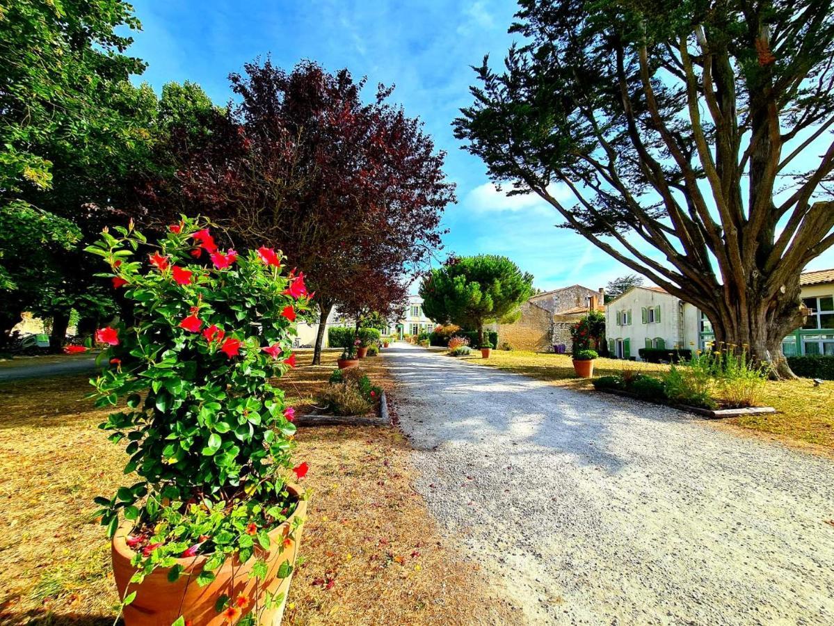 Appartement 91 Palais Des Gouverneurs Saint-Martin-de-Ré Dış mekan fotoğraf