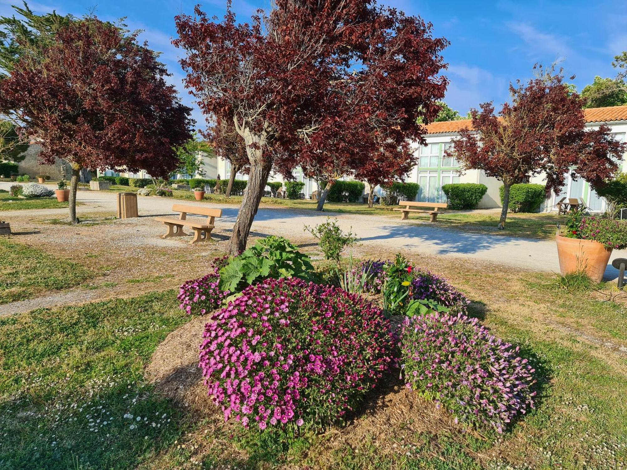 Appartement 91 Palais Des Gouverneurs Saint-Martin-de-Ré Dış mekan fotoğraf